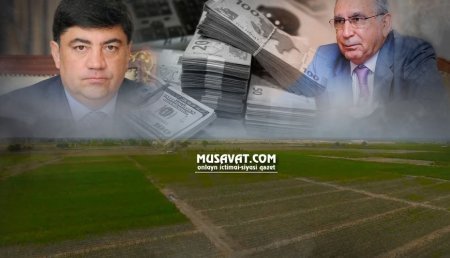Ramiz Mehdiyevin kürəkəni Şabranda 52 hektar torpağı ələ keçirdi – QALMAQAL